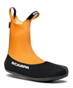 Royholliday.shopacc5ddaa2a 1