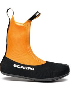 Royholliday.shopacc5ddaa2a 2