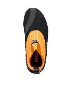 Royholliday.shopacc5ddaa2a 3