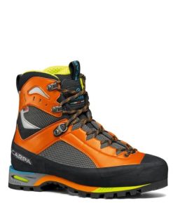 Royholliday.shopadb6a7d5fe 1