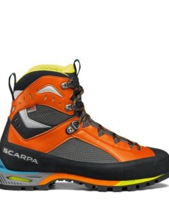 Royholliday.shopadb6a7d5fe 2