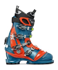 Royholliday.shopadfe5daf80 2