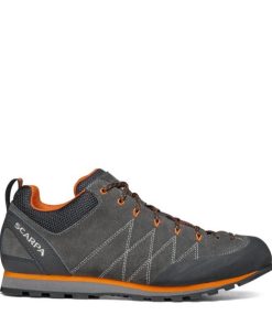 Royholliday.shopb4d47dec54 2