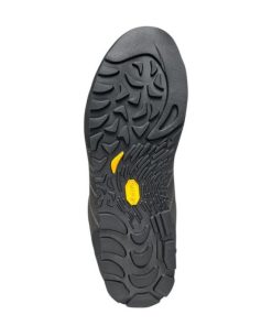 Royholliday.shopb4d47dec54 5