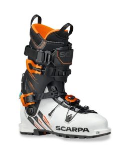 Royholliday.shopb7161733cd 1