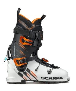 Royholliday.shopb7161733cd 2