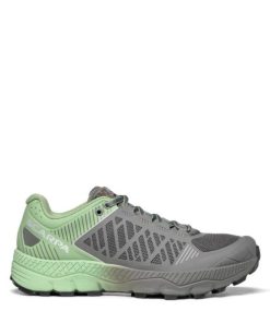 Royholliday.shopb89fe1f85d 2