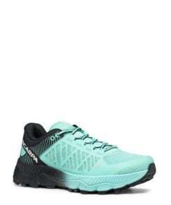 Royholliday.shopb970b96a51 1