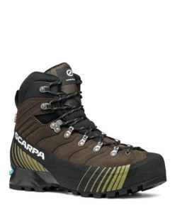 Royholliday.shopbd310e79b5 1