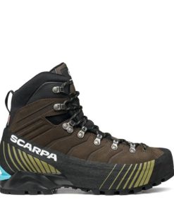 Royholliday.shopbd310e79b5 2