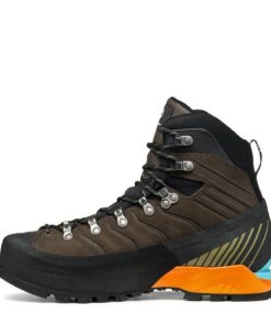 Royholliday.shopbd310e79b5 3