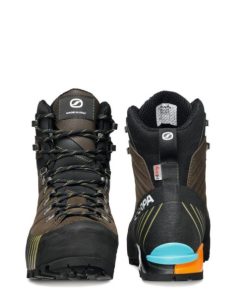 Royholliday.shopbd310e79b5 4