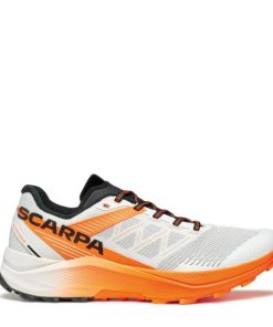 Royholliday.shopc6fd3d035f 2