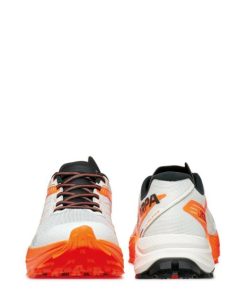 Royholliday.shopc6fd3d035f 4