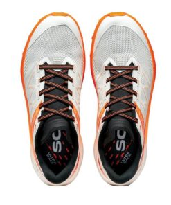 Royholliday.shopc6fd3d035f 5