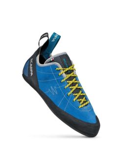 Royholliday.shopc724144916 2