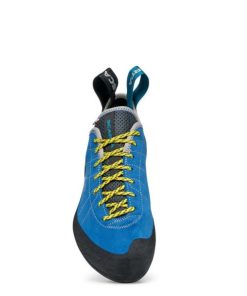 Royholliday.shopc724144916 3