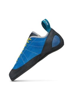 Royholliday.shopc724144916 4