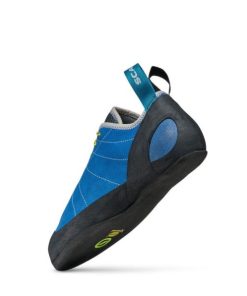 Royholliday.shopc724144916 5