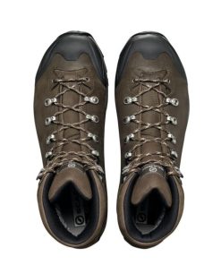 Royholliday.shopc892a664fa 5