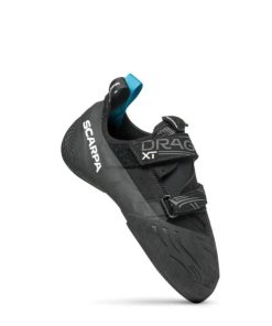 Royholliday.shopcae0f6612a 2