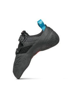 Royholliday.shopcae0f6612a 4