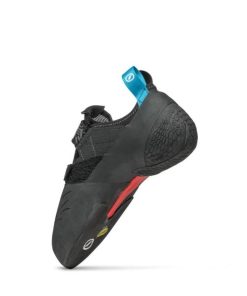 Royholliday.shopcae0f6612a 5