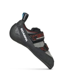 Royholliday.shopccc6ce25ed 1