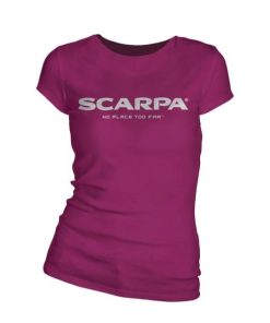 Royholliday.shopcdbf6d1774 1