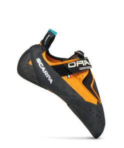 Royholliday.shopce472a2c71 1