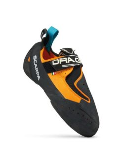 Royholliday.shopce472a2c71 2