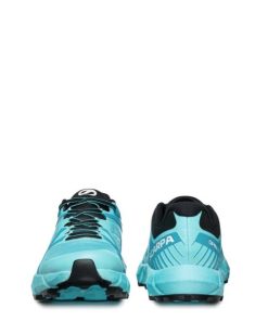 Royholliday.shopcfcc41ccf6 2