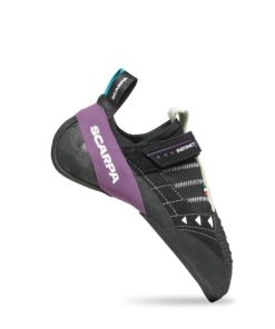 Royholliday.shopd2bc0b1a3e 1