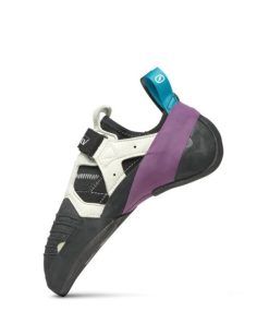 Royholliday.shopd2bc0b1a3e 4