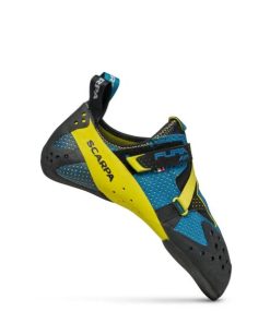 Royholliday.shopd340d715a6 1