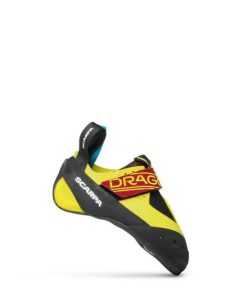 Royholliday.shopd4fe8c375e 1