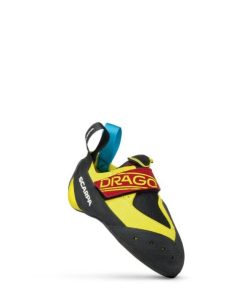 Royholliday.shopd4fe8c375e 2