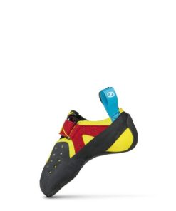 Royholliday.shopd4fe8c375e 4