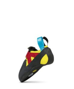 Royholliday.shopd4fe8c375e 5