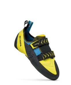 Royholliday.shopd5a889a574 2