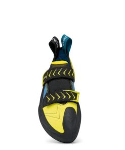 Royholliday.shopd5a889a574 3