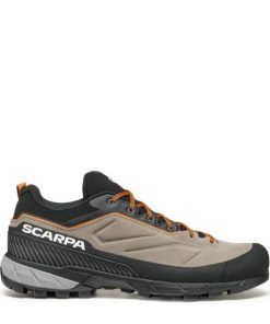 Royholliday.shopd8f41fd24f 2