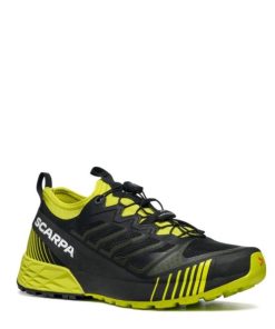 Royholliday.shopd9bf767882 1