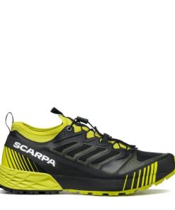 Royholliday.shopd9bf767882 2