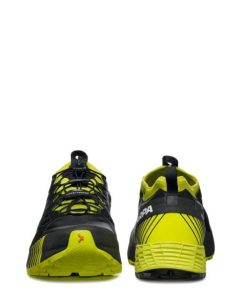 Royholliday.shopd9bf767882 4