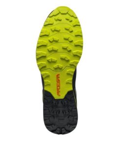 Royholliday.shopd9bf767882 5