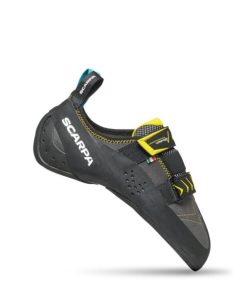 Royholliday.shopee8b1a7f20 1