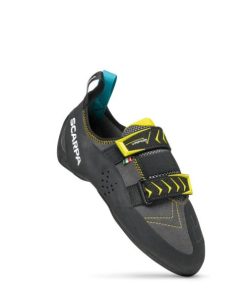 Royholliday.shopee8b1a7f20 2