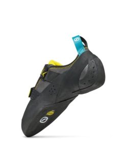 Royholliday.shopee8b1a7f20 5