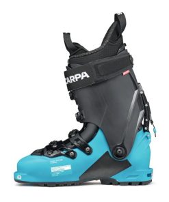 Royholliday.shopef34530af8 3